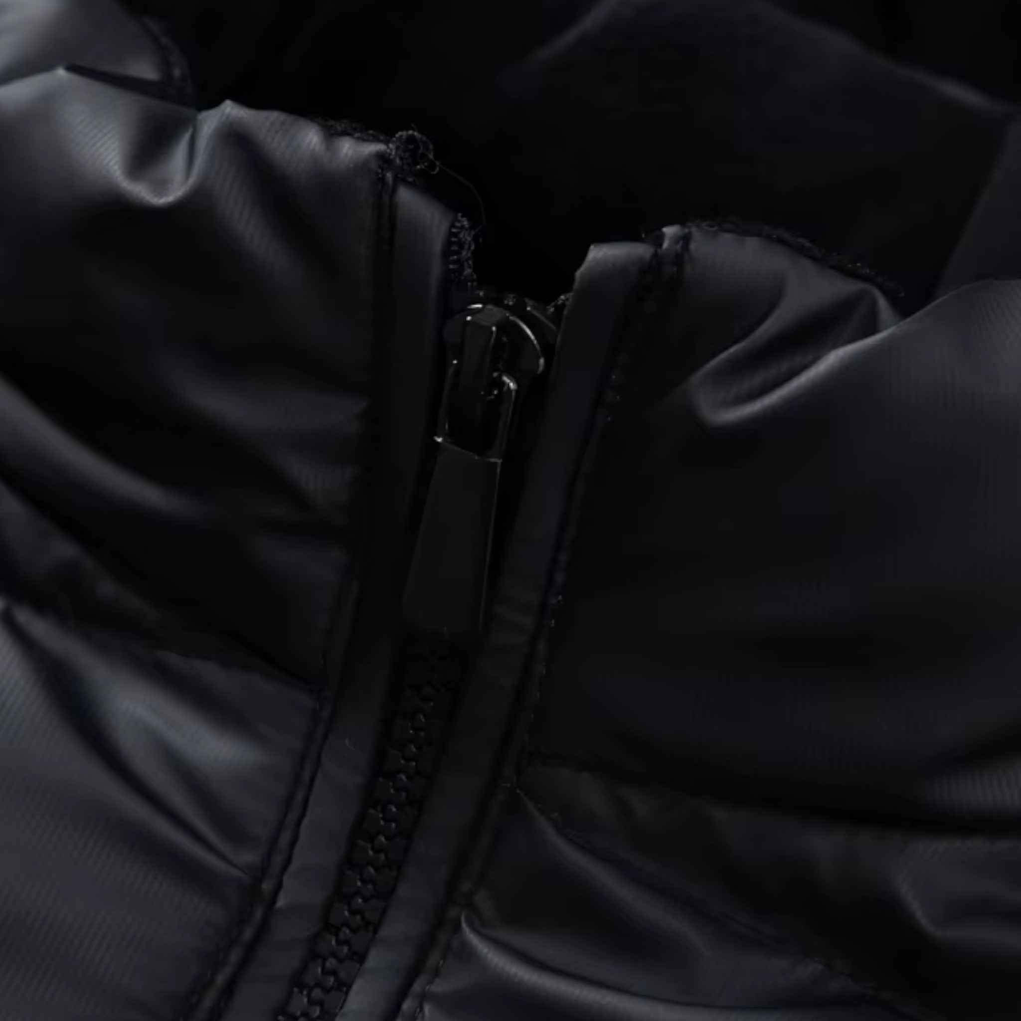 Jackets : Stijl en Warmte in Perfecte Harmonie in van Pantino