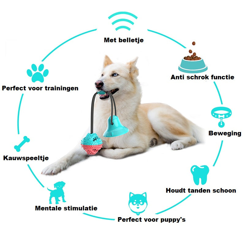 pets : Het Ideale Honden Speelgoed - Licht Blauw in van Pantino