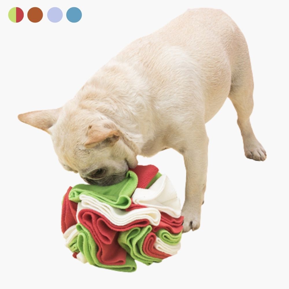 pets : Honden Speelgoed Set - Interactief Speelplezier Kauw - Rubber in GroenRood van Pantino