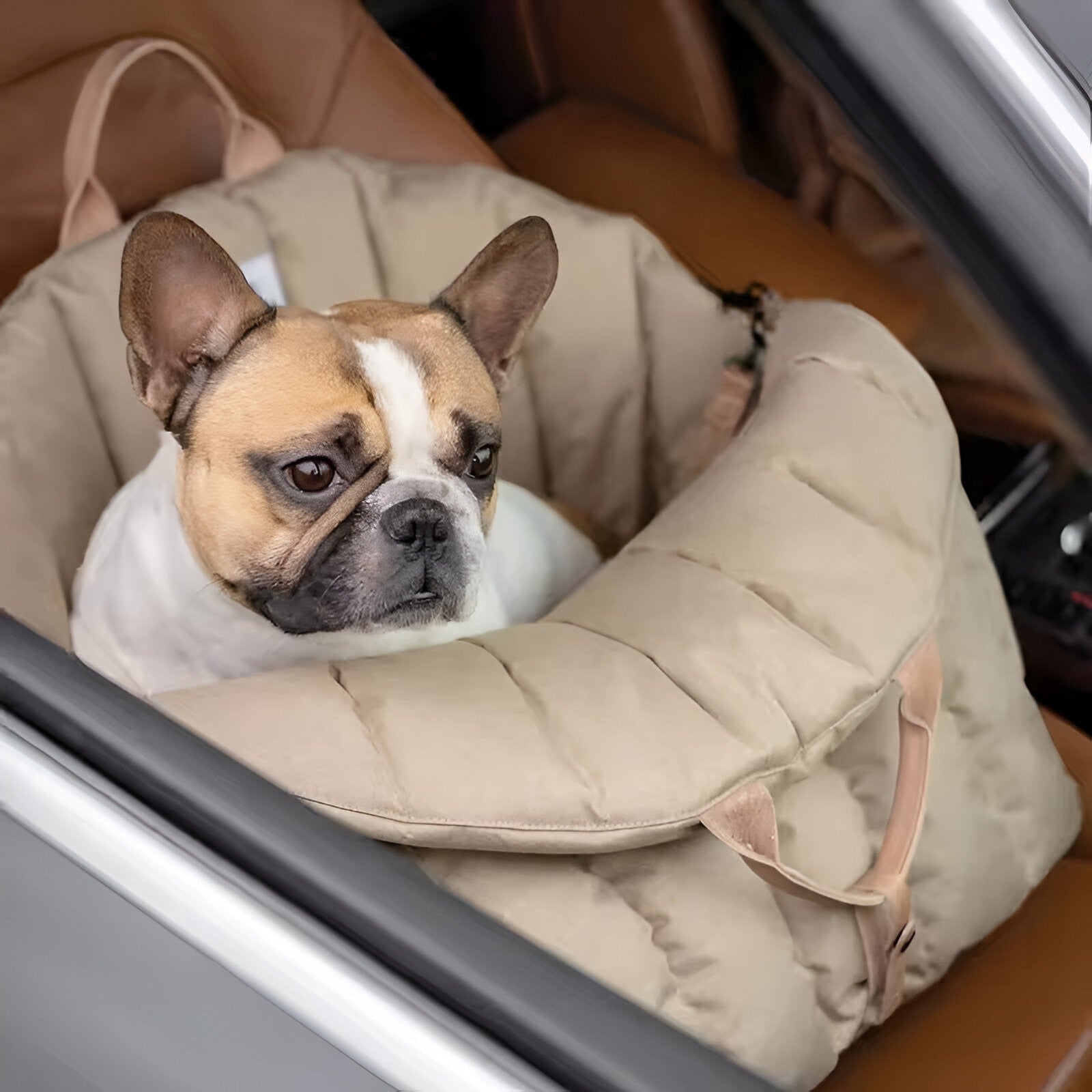 Hondendraagtas Luxe en Warm voor Reizen, Klein Formaat, Zachte Vulling