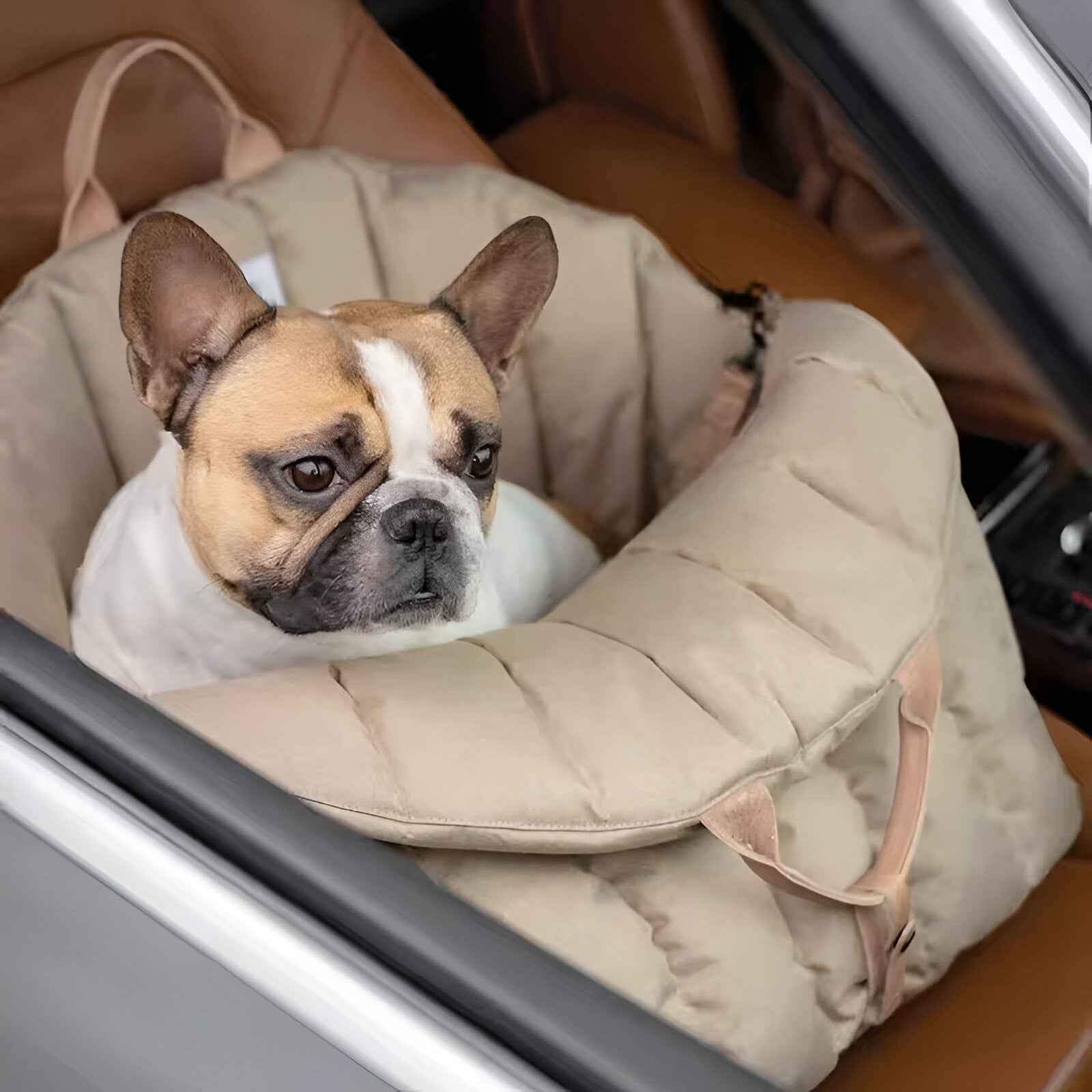Pets & Supplies : Hondendraagtas Luxe en Warm voor Reizen, Klein Formaat, Zachte Vulling in van Pantinoshop