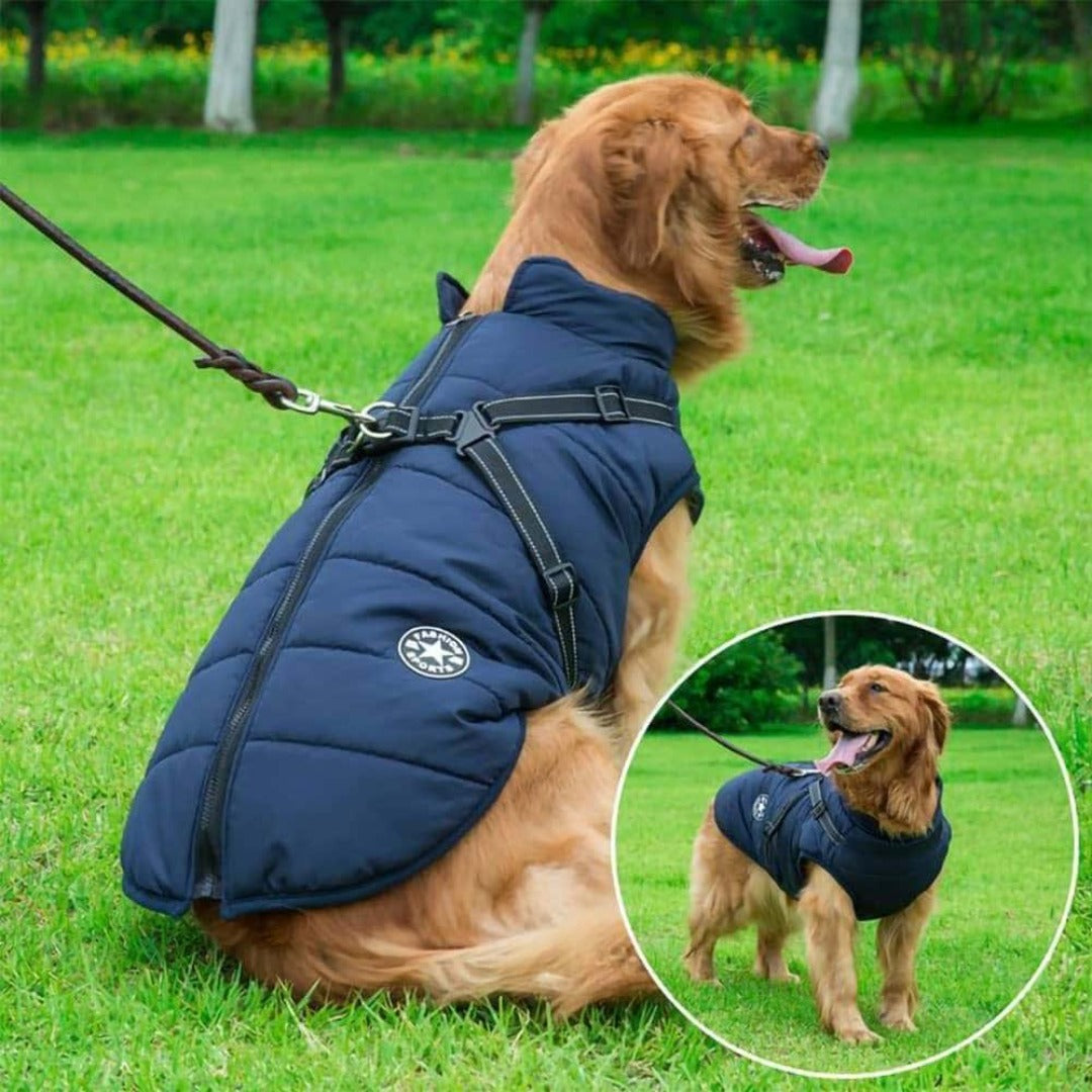 pets : PupSkiPro - Waterdicht Jacket Harnas - Blauw in van Pantino