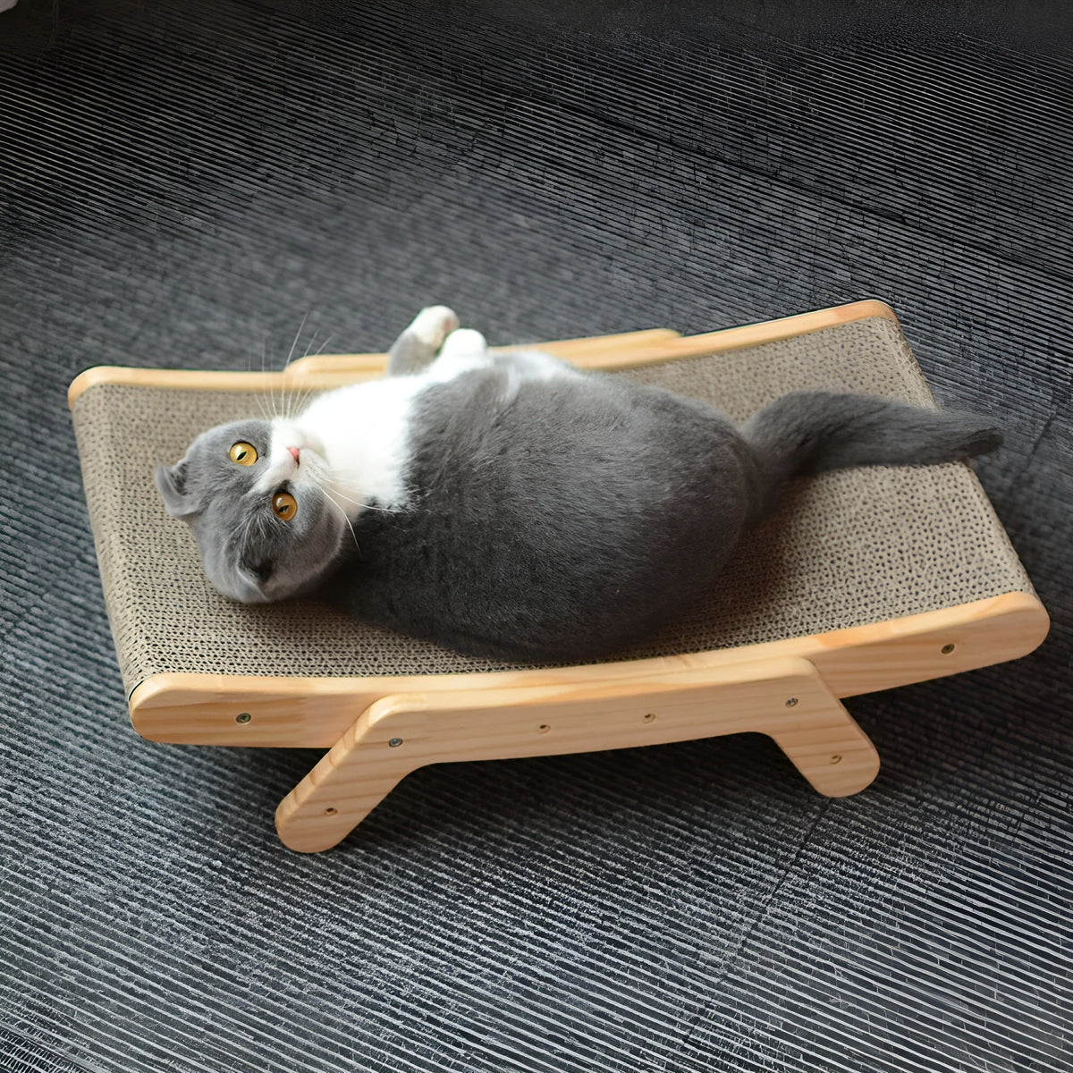 pets : Houten Kattenkrabplank - Multifunctionele Verwijderbare Design - Hout in van Pantino