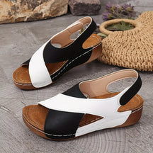 Sandals : Sandalen Dames Blauw - Minimalistische Scandinavische - Perfect voor die van een Eenvoudig en Modebewust Design Houden in Zwart van Pantino