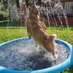 outdoor equipment : Sprinkler Speelmat Kinderen - Anti-Slip Water Plezier - PVC in van Pantino