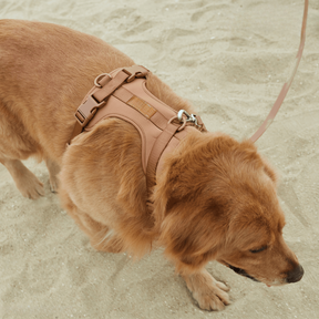 pets : ComfyPaws - Harnas Wandel Set (Inclusief Riem en Poepzakjes Drager) - Bruin in van Pantino