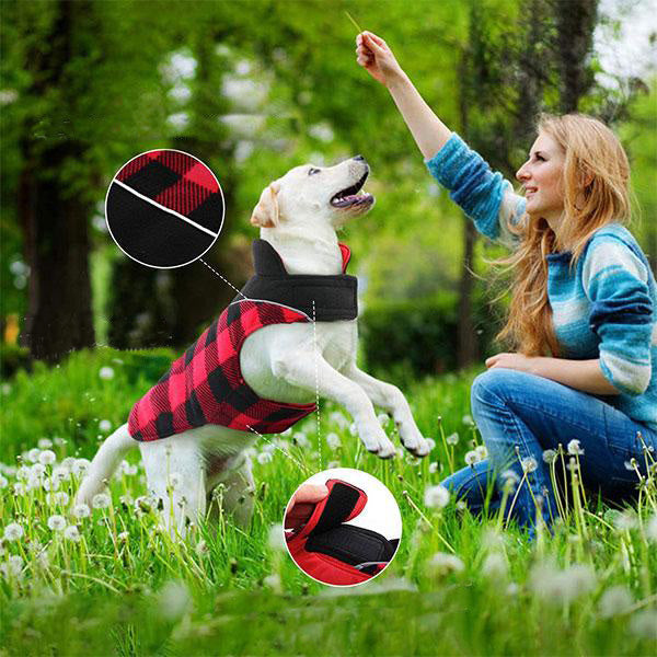 pets : Omkeerbare Schotse Ruit Winter Hondenjas - Zwart in van Pantino