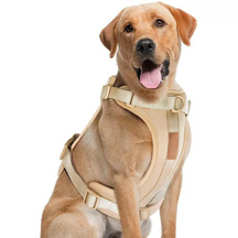 pets : ComfyPaws - Harnas Wandel Set (Inclusief Riem en Poepzakjes Drager) - Bruin in Beige-2 van Pantino