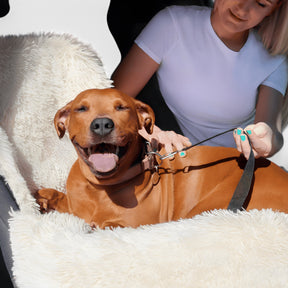 pets : Honden Automand Waterdicht Antislip - Beige in van Pantino