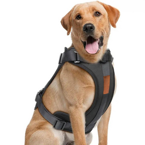 pets : ComfyPaws - Harnas Wandel Set (Inclusief Riem en Poepzakjes Drager) - Bruin in Zwart van Pantino