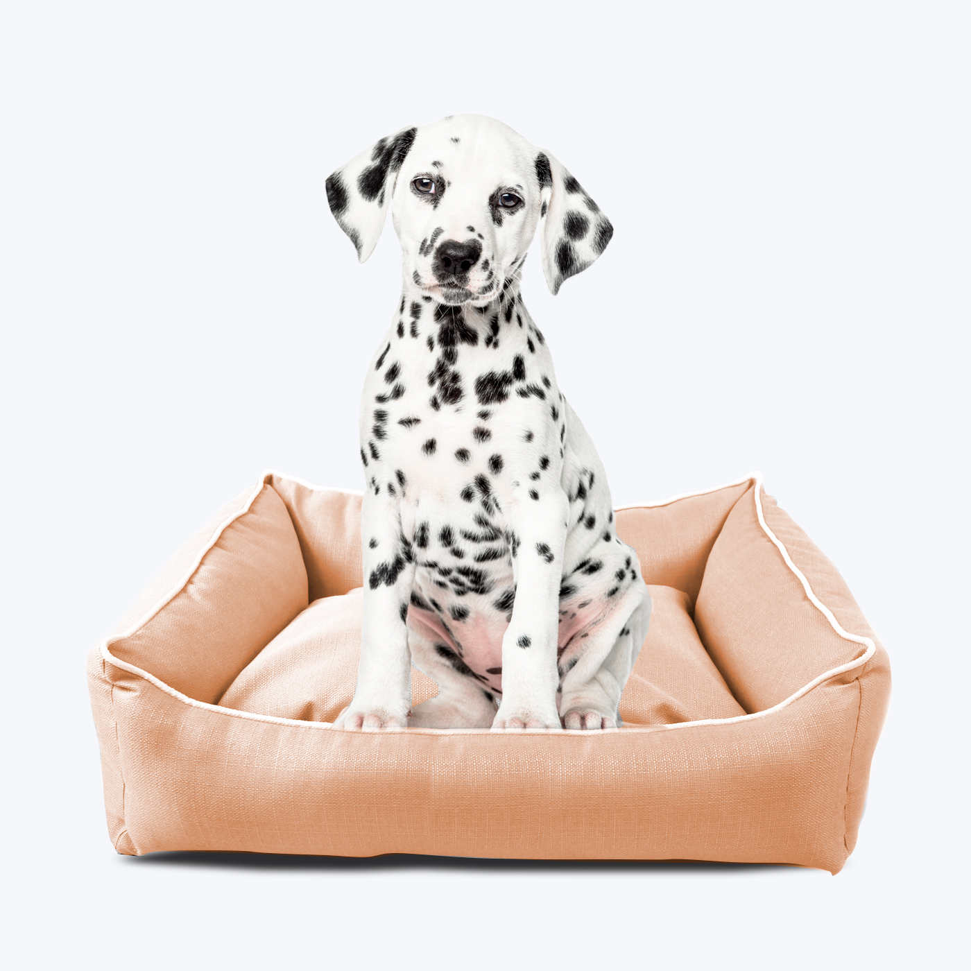 pets : Stijlvolle Hondenmand - Modern Zilver in van Pantino