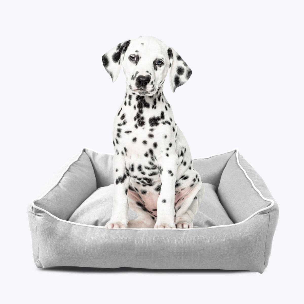pets : Stijlvolle Hondenmand - Modern Zilver in van Pantino