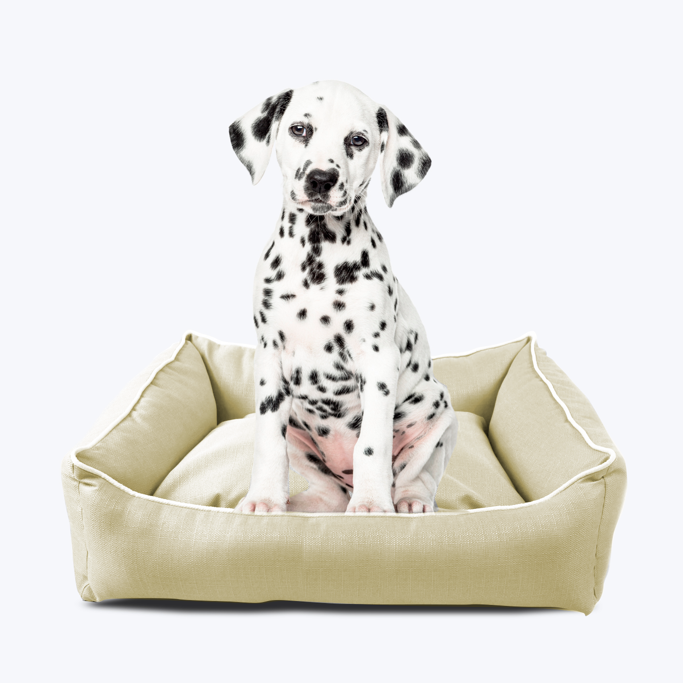 pets : Stijlvolle Hondenmand - Modern Zilver in van Pantino