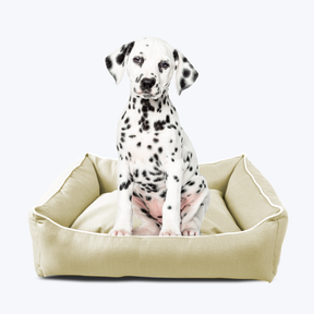 pets : Stijlvolle Hondenmand - Modern Zilver in van Pantino