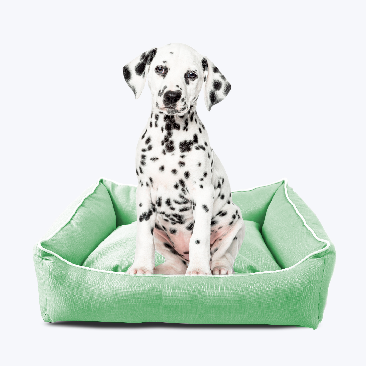 pets : Stijlvolle Hondenmand - Modern Zilver in van Pantino