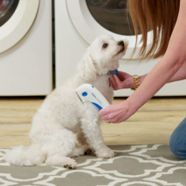 pets : FleaFade - Ultieme Vlooienbestrijding Honden in van Pantino