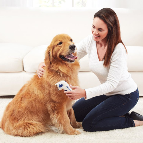 pets : FleaFade - Ultieme Vlooienbestrijding Honden in van Pantino