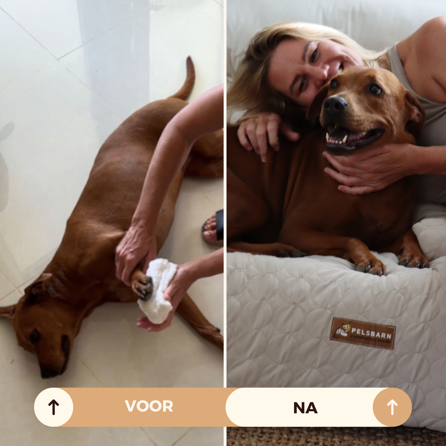 Huisdieren : Verkoelend Honden Bed - Lichtblauw in van Pantino