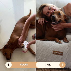 Huisdieren : Verkoelend Honden Bed - Lichtblauw in van Pantino