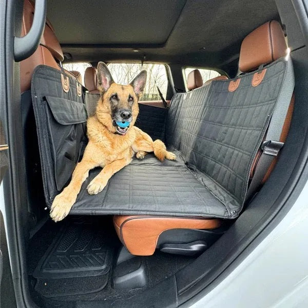 pets : Travel Buddy - Veiligheid en Gezelschap voor Iedere Reis in van Pantino