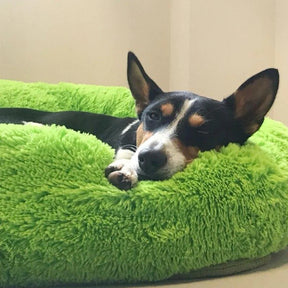pets : FluffyBed Donutbed Pluche – Rond Hondenkussen – Wasbaar in Limoengroen van Pantino