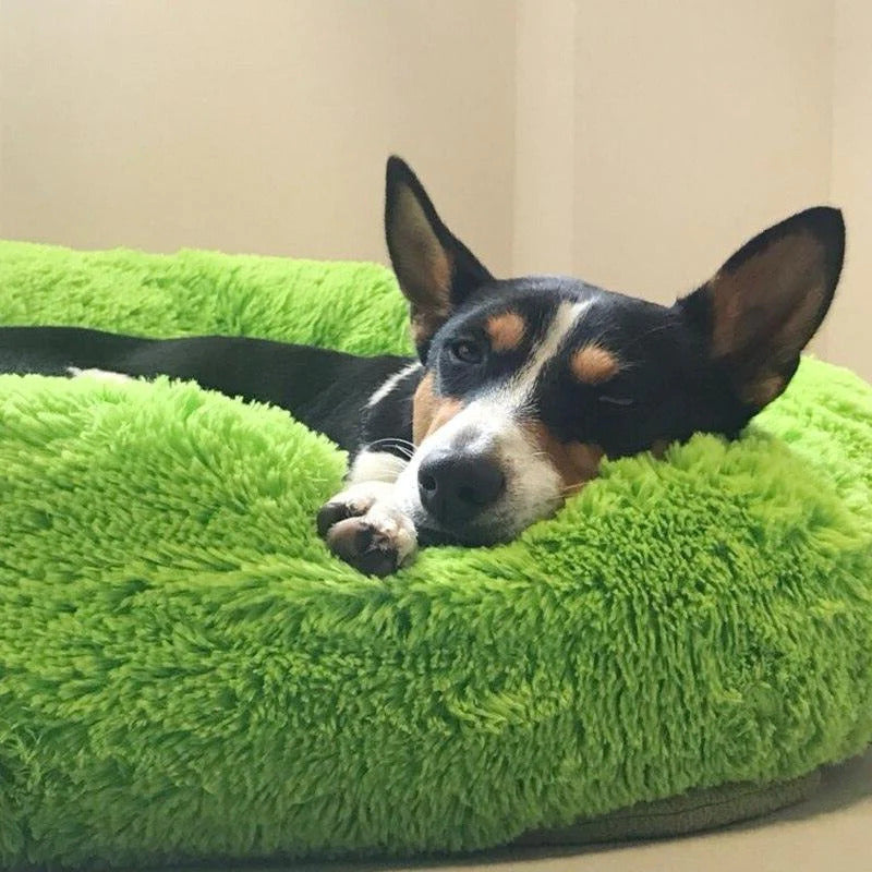 pets : FluffyBed Donutbed Pluche – Rond Hondenkussen – Wasbaar in Limoengroen van Pantino