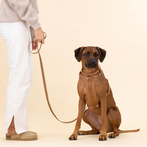 pets : ComfyPaws - Harnas Wandel Set (Inclusief Riem en Poepzakjes Drager) - Bruin in van Pantino