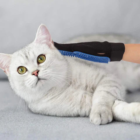 pets : FurGlove - Reiniging en Massage in Één in van Pantino