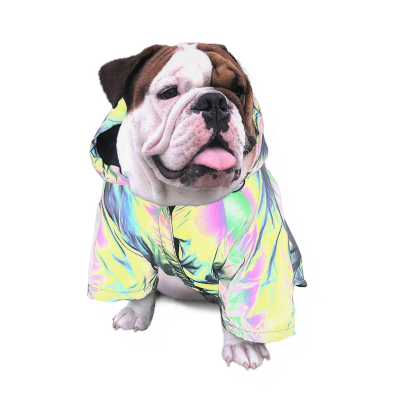 pets : Reflecterende Hondenjas met Verbeterde Dikte in van Pantino