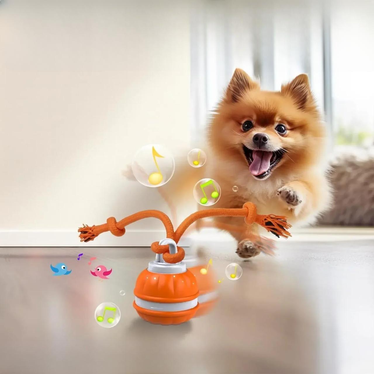 pets : PupPlay - Sterk en Langdurig Speelplezier in van Pantino