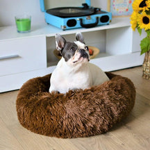pets : Hondenmand Fluffy Calming Bed Koffie - Zacht Anti-Angst voor Kleine & Middelgrote Honden in Koffie van Pantino