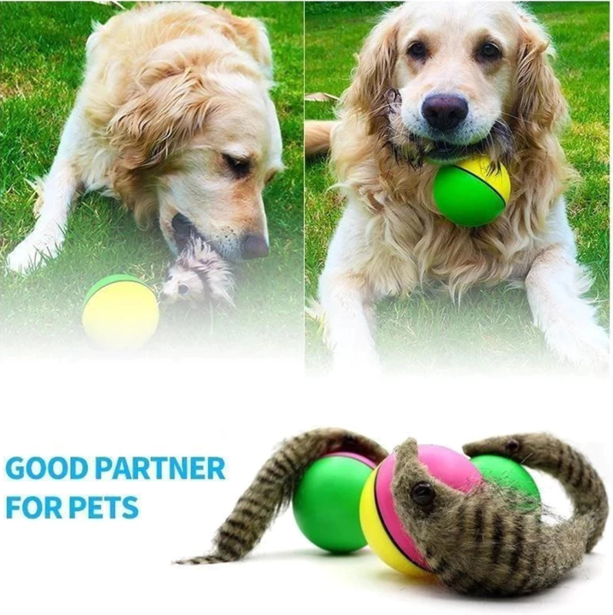 pets : PlayBall - Elektronisch Interactief Speelgoed voor Dieren in van Pantino