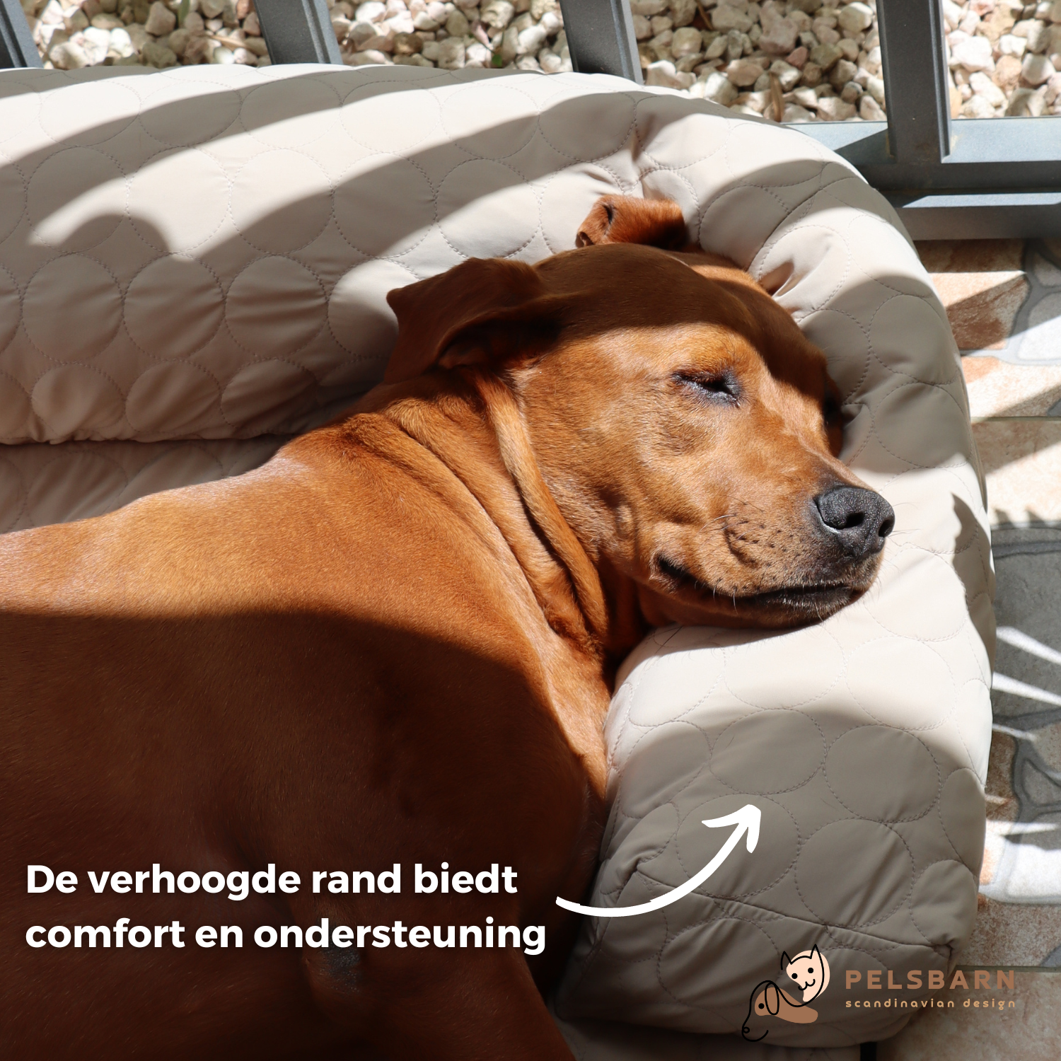 Huisdieren : Verkoelend Honden Bed - Lichtblauw in van Pantino