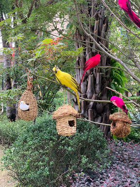 home & garden : Metalen Papegaai Tuinbeeld Rood 35cm - Realistische Vogel Decoratie voor Buiten & Binnen in van Pantino