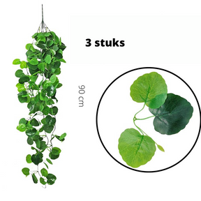 home & garden : Groene Wanddecoratie - Klimops die Geen Verzorging Nodig Hebben (3 St.) in 2 van Pantino