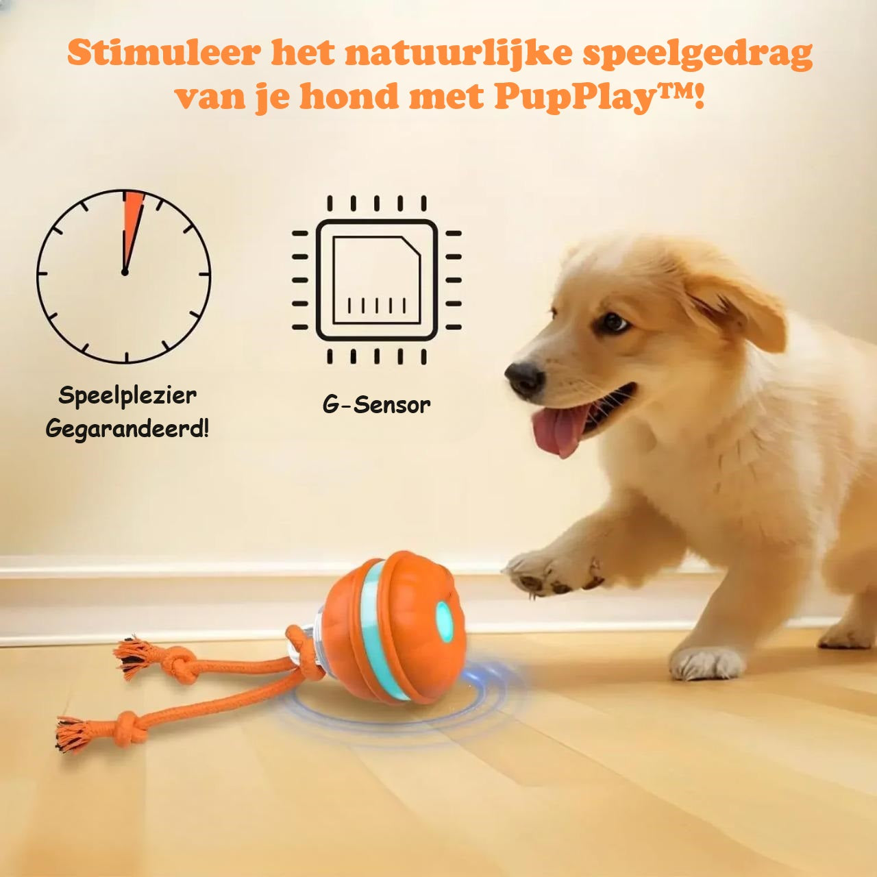 pets : PupPlay - Sterk en Langdurig Speelplezier in van Pantino