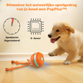 pets : PupPlay - Sterk en Langdurig Speelplezier in van Pantino