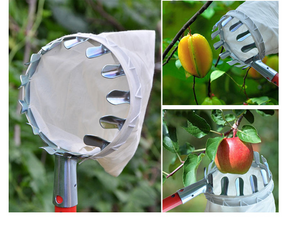 outdoor equipment : SkyHarvest Deluxe Fruitplukker in van Pantino