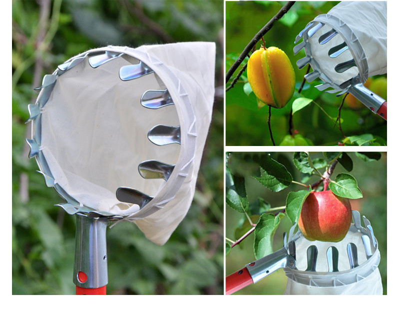 outdoor equipment : SkyHarvest Deluxe Fruitplukker in van Pantino