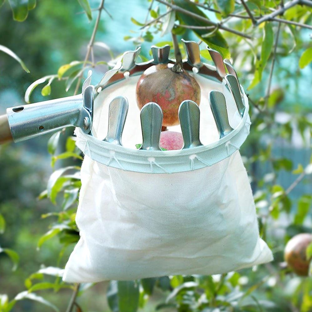 outdoor equipment : SkyHarvest Deluxe Fruitplukker in van Pantino