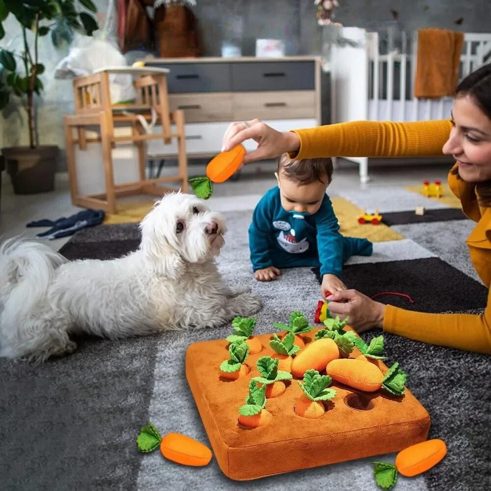 pets : Stimuleer de Mentale Gezondheid van Jouw Hond in van Pantino