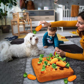 pets : Stimuleer de Mentale Gezondheid van Jouw Hond in van Pantinoshop