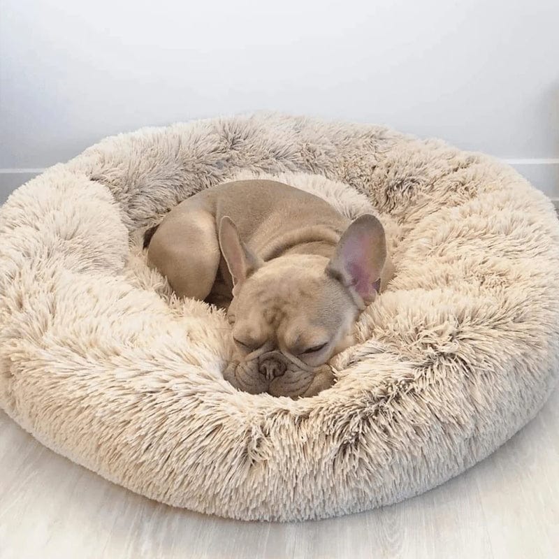 pets : Hondenmand Fluffy Calming Bed Koffie - Zacht Anti-Angst voor Kleine & Middelgrote Honden in Beige van Pantino