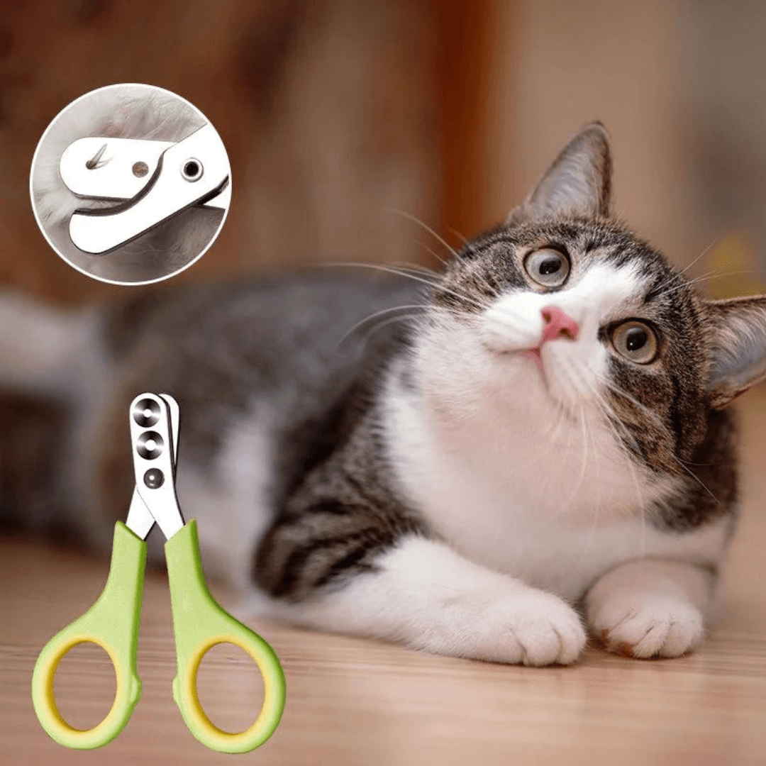 pets : Moeloz Pet Nagelknipper in van Pantino