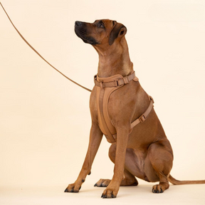 pets : ComfyPaws - Harnas Wandel Set (Inclusief Riem en Poepzakjes Drager) - Bruin in van Pantino
