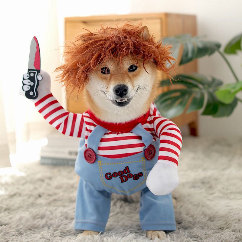 pets : Chucky Honden Kostuum - Grappig Halloween Verkleedpak voor Kleine tot Grote Honden in van Pantino