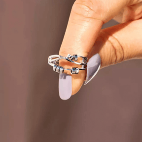 Ring : Fidget Ring - Zilver - Accessoire in van Pantino