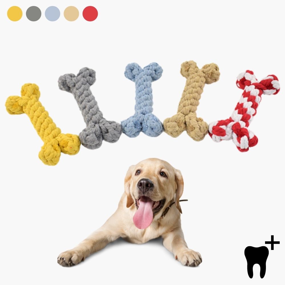 pets : Honden Kauwbot Dental Care - Tand en Gebit Bescherming - Nylon in van Pantino