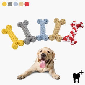 pets : Honden Kauwbot Dental Care - Tand en Gebit Bescherming - Nylon in van Pantino