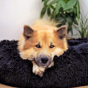 pets : Hondenbed Grijs - Ultiem Comfortabel Zacht Ligplaats - Pluche in van Pantino